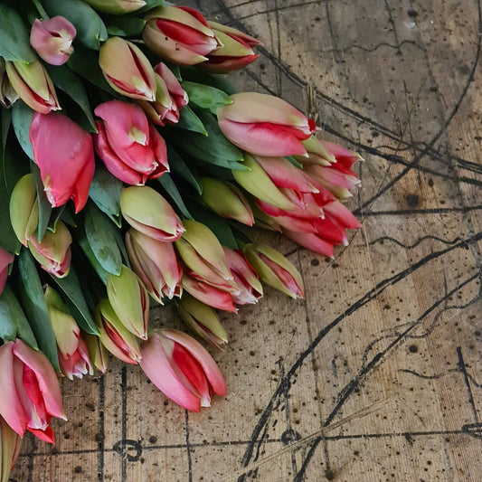 Abonnement - 3 tulipanbuketter